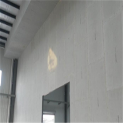 宿豫新型建筑材料掺多种工业废渣的ALC|ACC|FPS模块板材轻质隔墙板